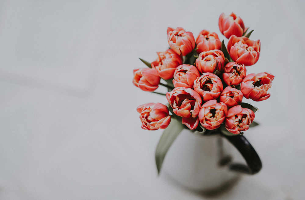 Tulpen in Vase migräne Ernährungsberatung münchen