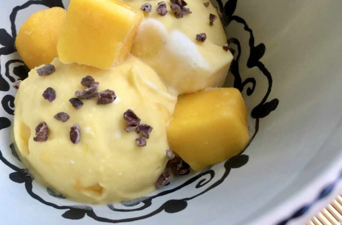 Mango-Kokos-Nicecream - Rezept lowcarb ohne Zucker - avocadooo