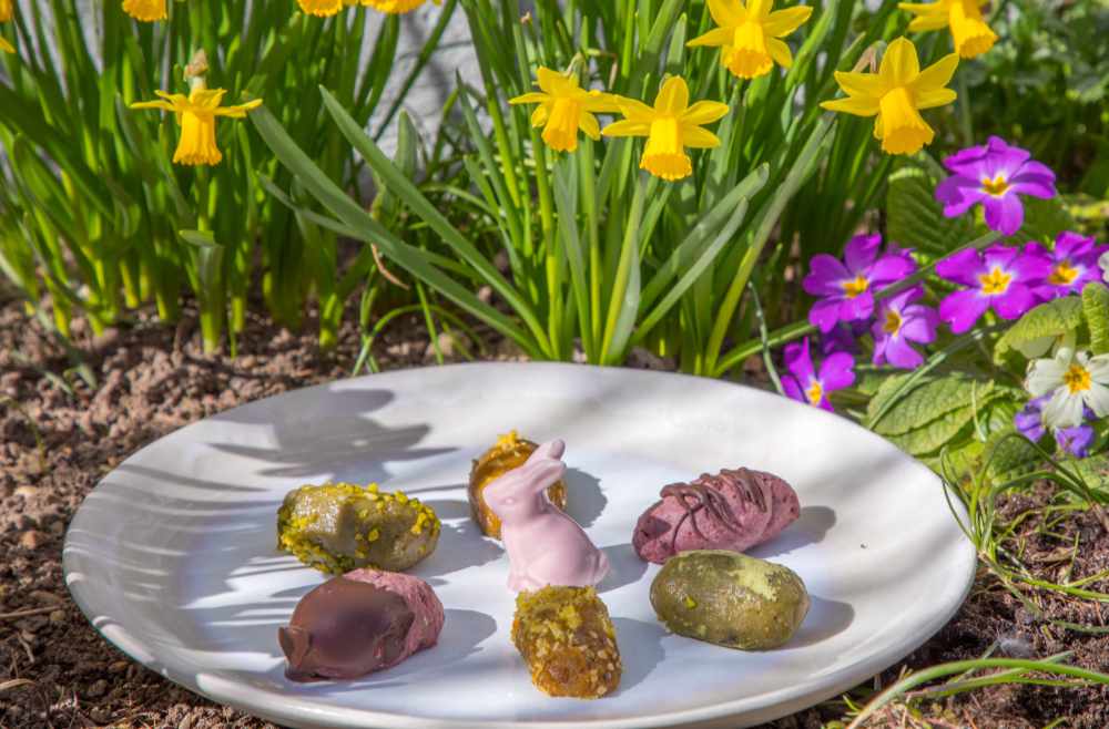 vegan, glutenfrei Migräne Ernährungsberatung München Ostereier-Pralinen in Beet