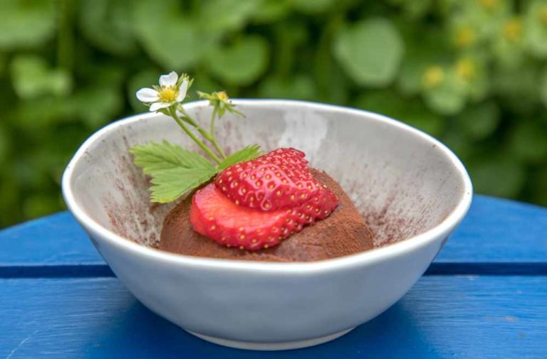 Schnelle Schokomousse - gesund und ohne Zucker - avocadooo