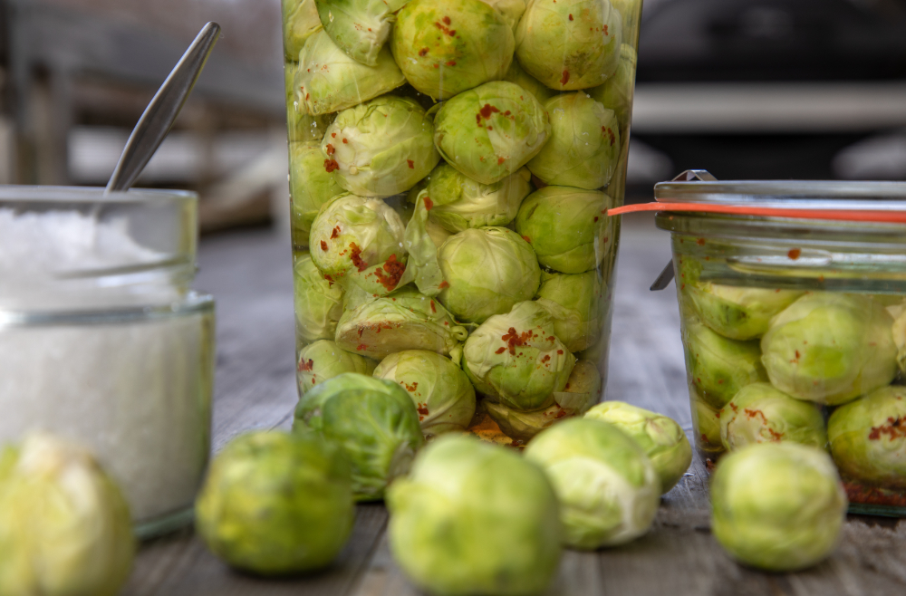 rezept avocadooo kochkurse münchen
